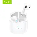 BAVIN-19 (1).webp