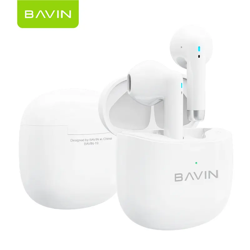 BAVIN-19 (4).webp