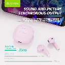 BAVIN-19 (12).webp