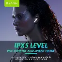 BAVIN-19 (14).webp