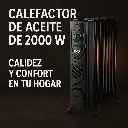 ChatGPT Image 13 jun 2025, 11_11_36.webp